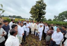 हर्षवर्धन सपकाल बुलढाणा के बाढ़ प्रभावित किसानों से बातचीत करते हुए